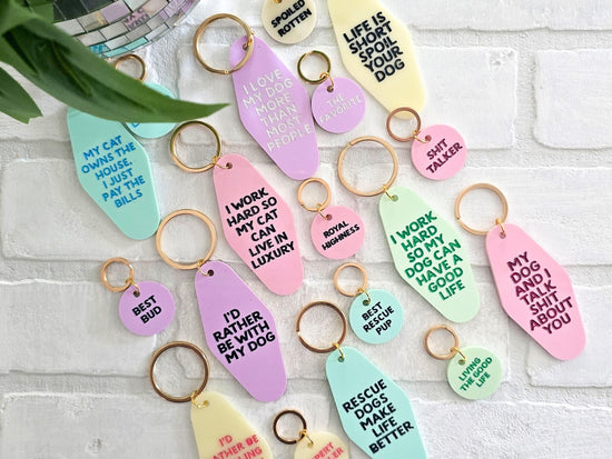 Keychain and Pet Tag Set