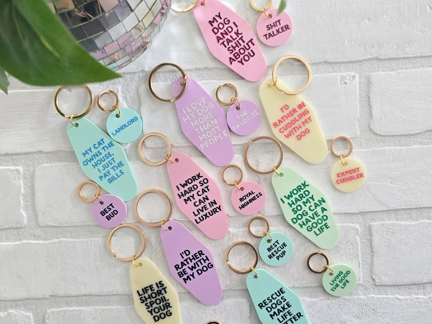 Keychain and Pet Tag Set