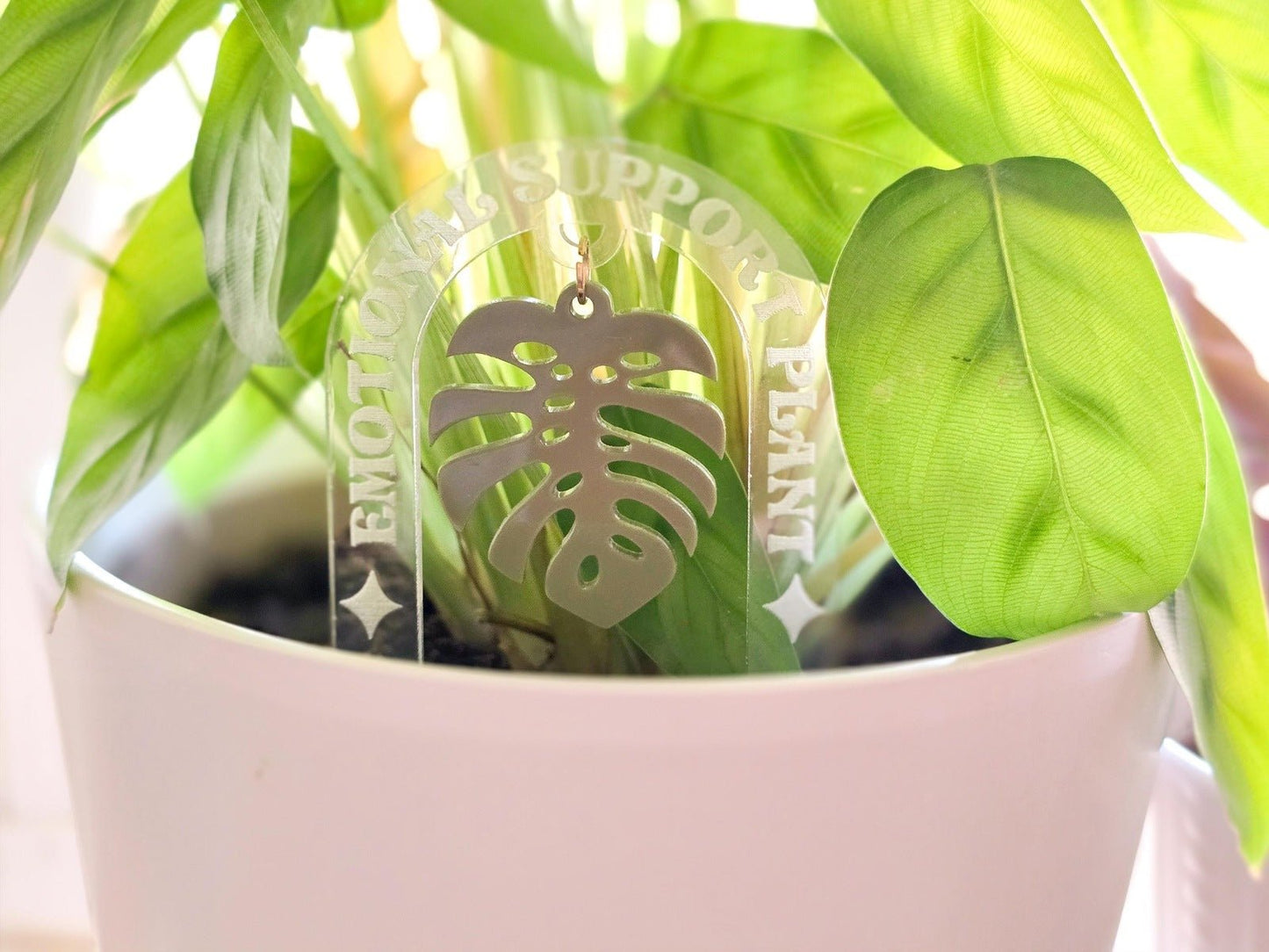 plant stakes indoor Custom Acrylic Plant Stakes