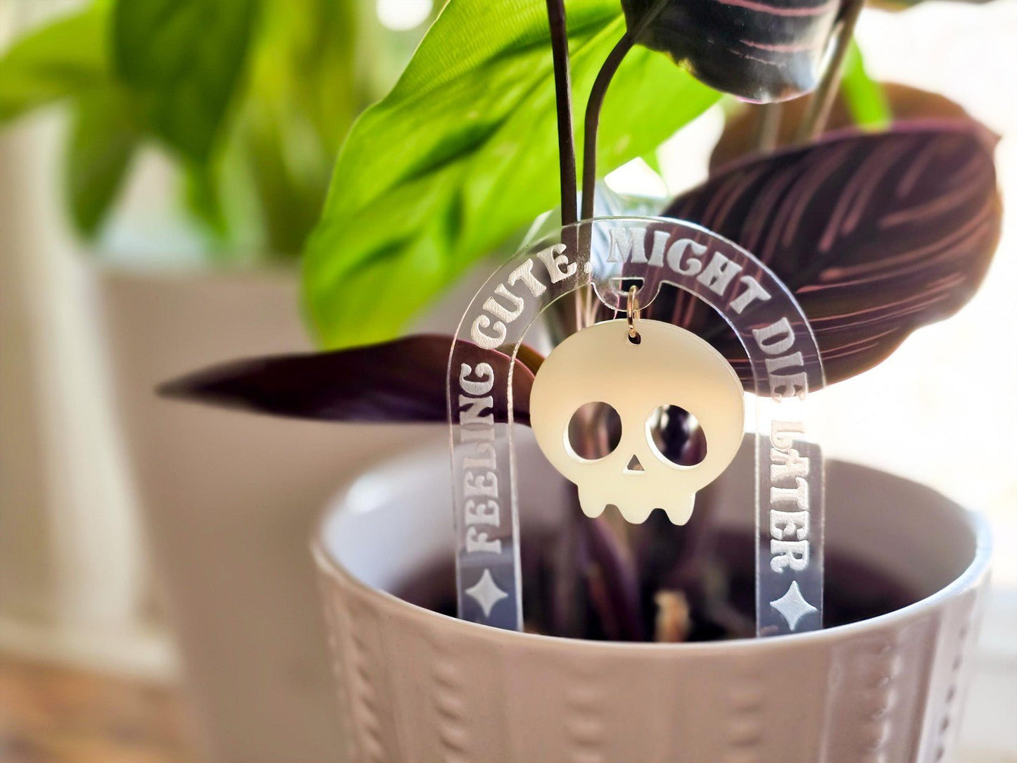 house plant stakes Custom Acrylic Plant Stakes – Homebound Society