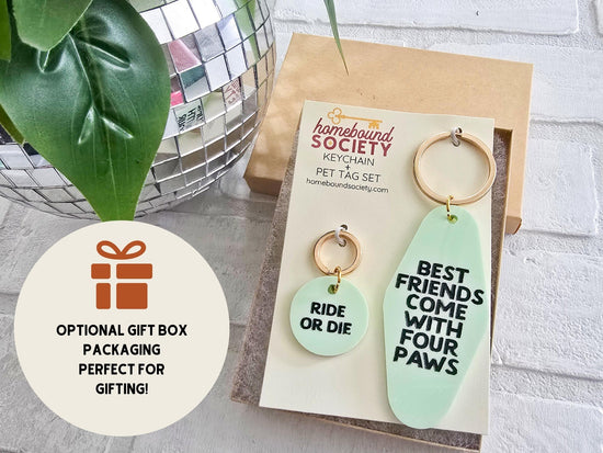 Keychain and Pet Tag Set