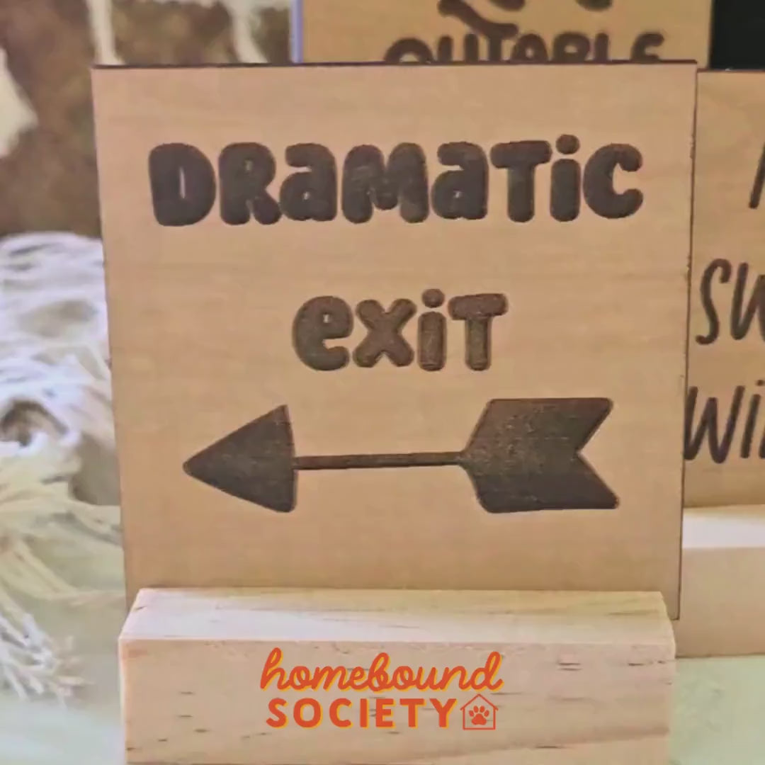 Funny Engraved Mini Desk Signs